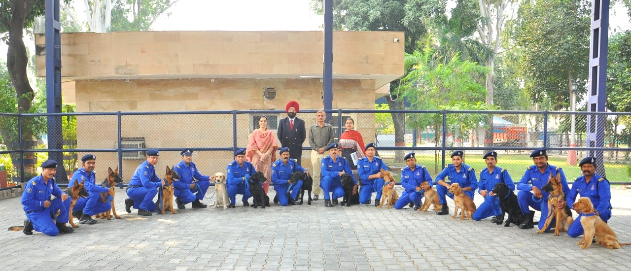 Khalsa College of Veterinary and Animal Sciences, Amritsar